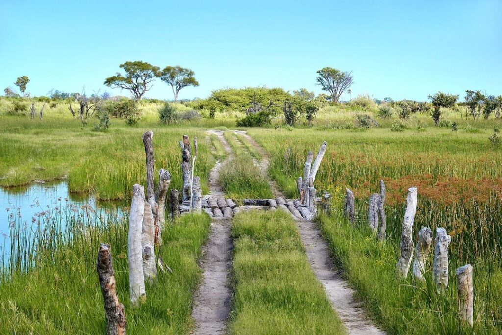 Botswana Honeymoon Guide