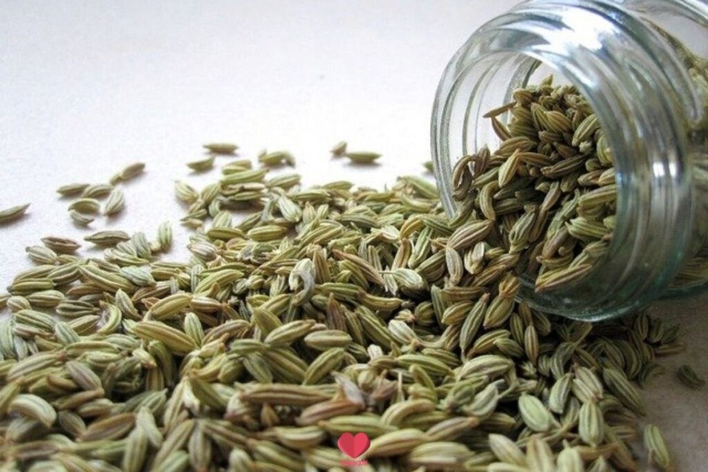 Fennel Seed benefits