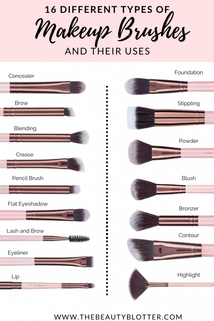 Types Of Makeup brushes