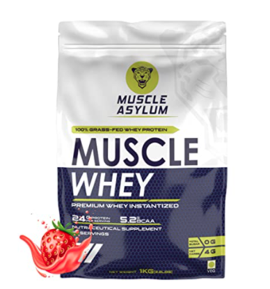 Best Protein Powder In India