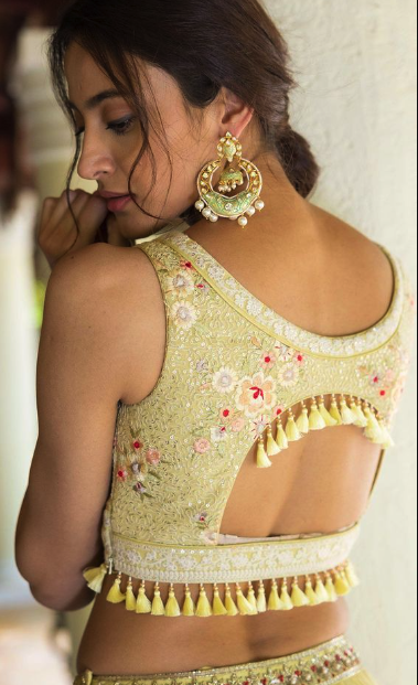 Stylish Lehenga Blouse Design