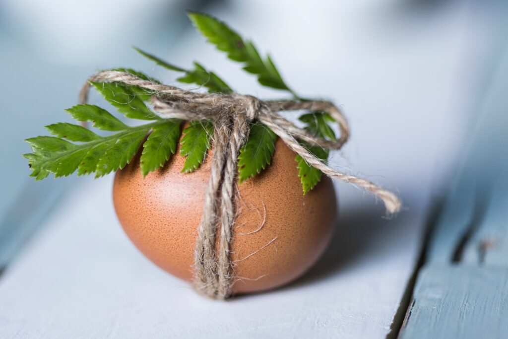 Egg Yolk Hair Mask