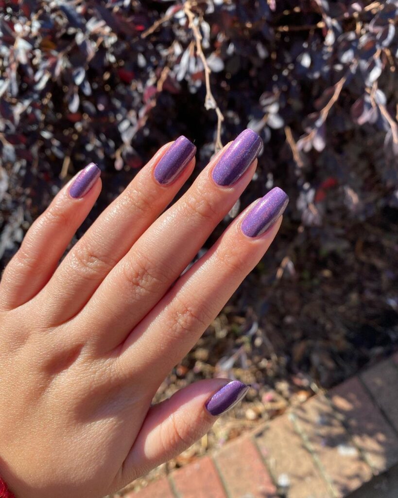 Elegant Purple Nail Designs