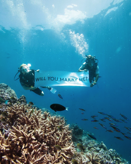 Propose In The Maldives